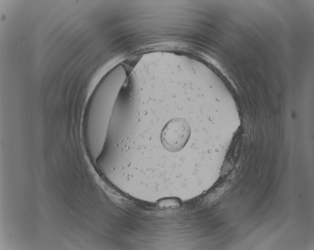 X0000068891426200605261834