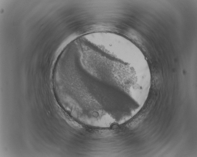 X0000068891427200605261834