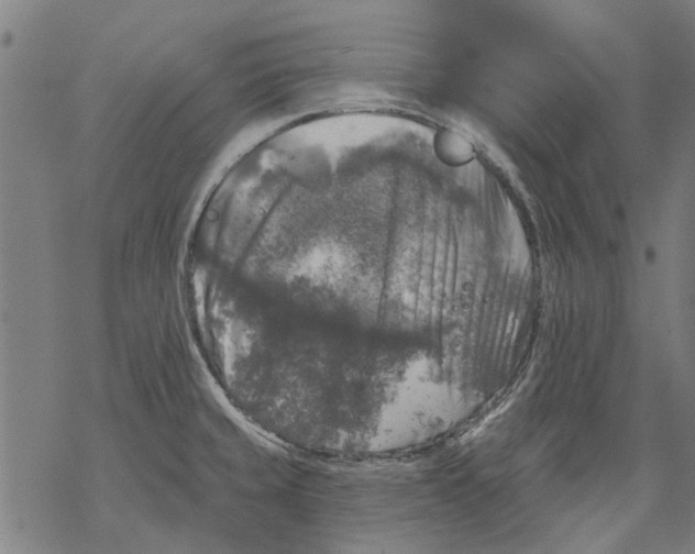 X0000068891429200605261834