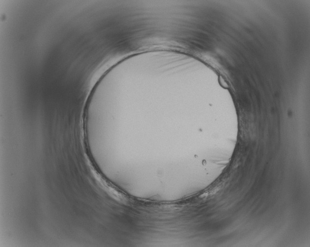 X0000068891431200605261834