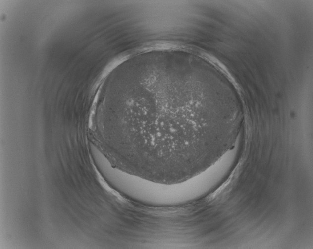 X0000068891433200605261835