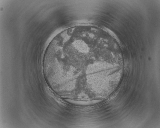 X0000068891435200605261835