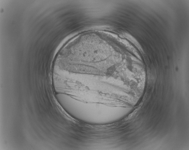 X0000068891436200605261835