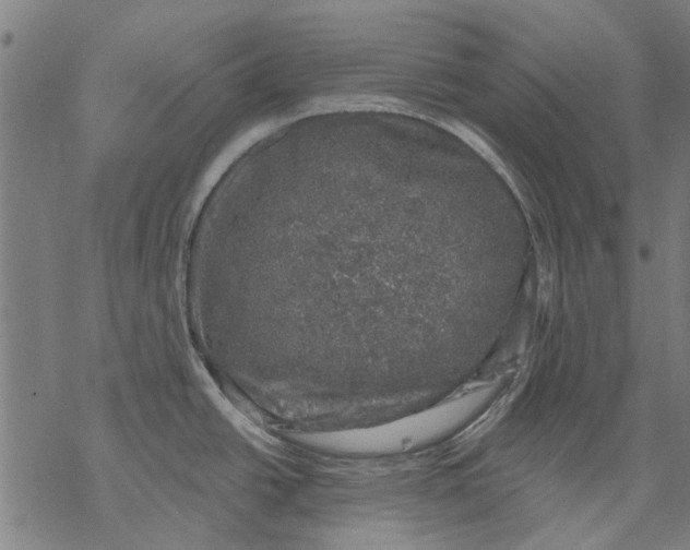 X0000068891438200605261835