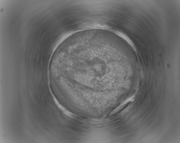 X0000068891439200605261835