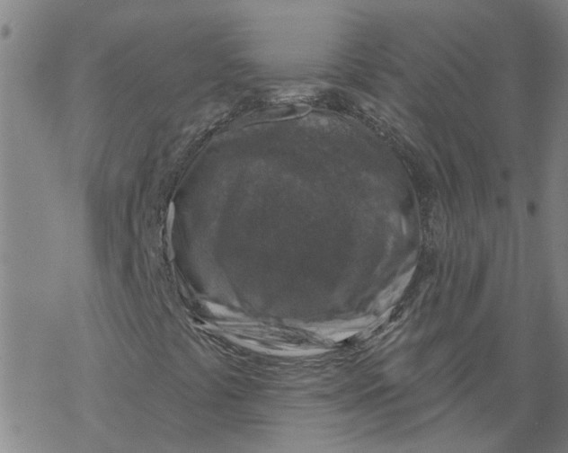 X0000068891441200605261834