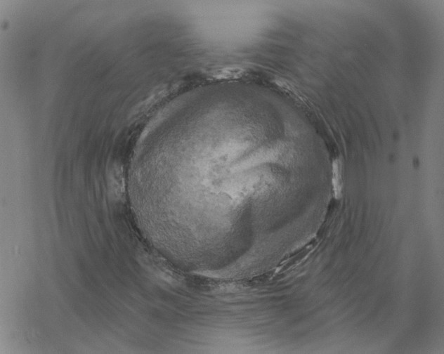 X0000068891443200605261834