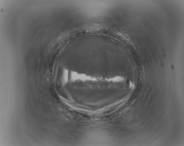 X0000068891445200605261834