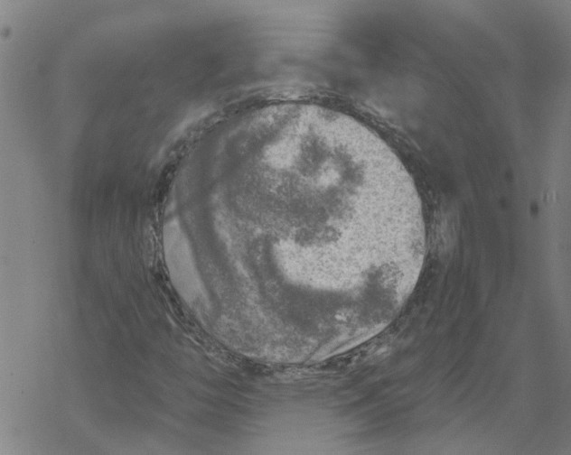 X0000068891446200605261834