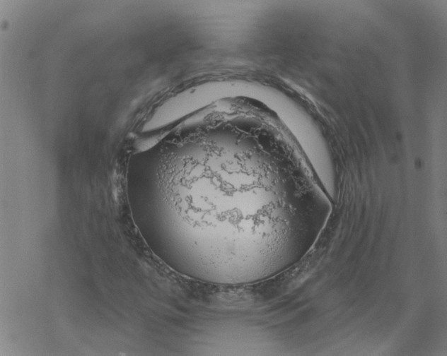 X0000068891447200605261834