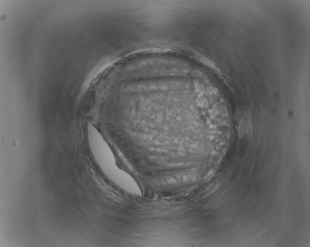 X0000068891448200605261834