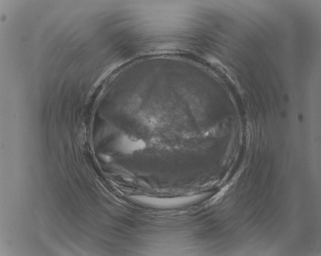 X0000068891449200605261834