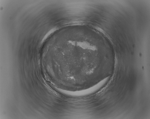 X0000068891450200605261834