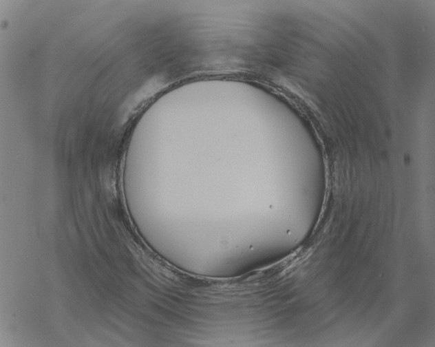 X0000068891451200605261834