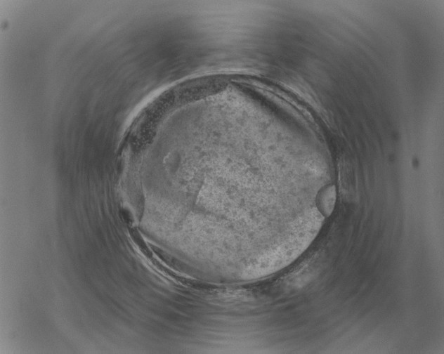 X0000068891452200605261834