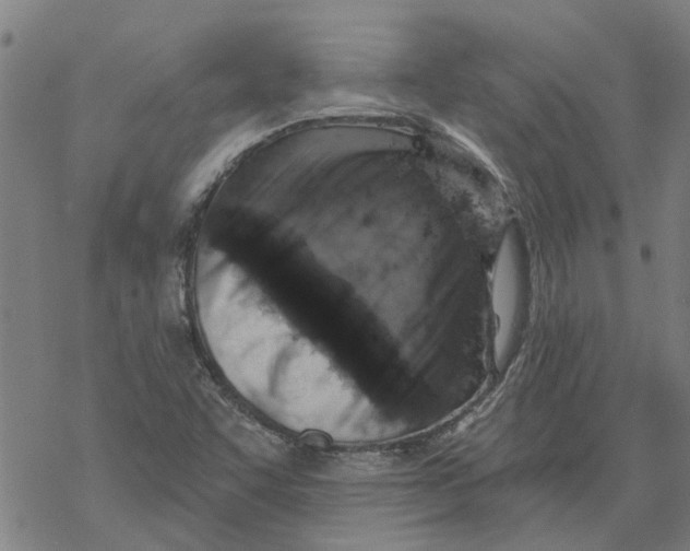 X0000068891455200605261834