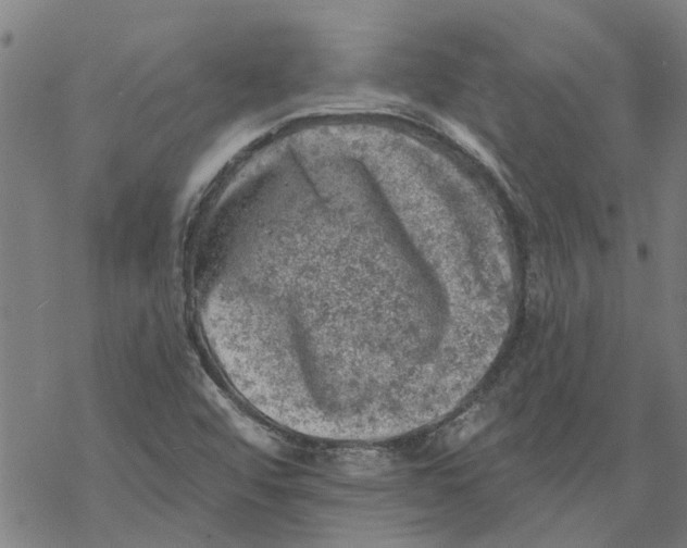 X0000068891456200605261834