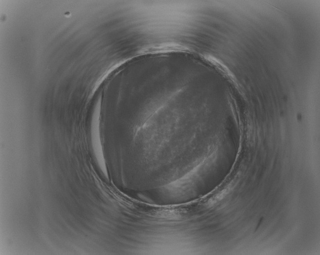 X0000068891457200605261834