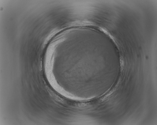 X0000068891459200605261834