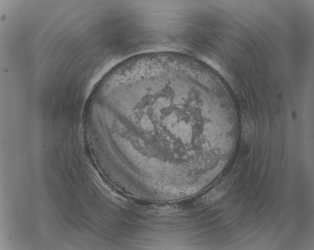 X0000068891460200605261834