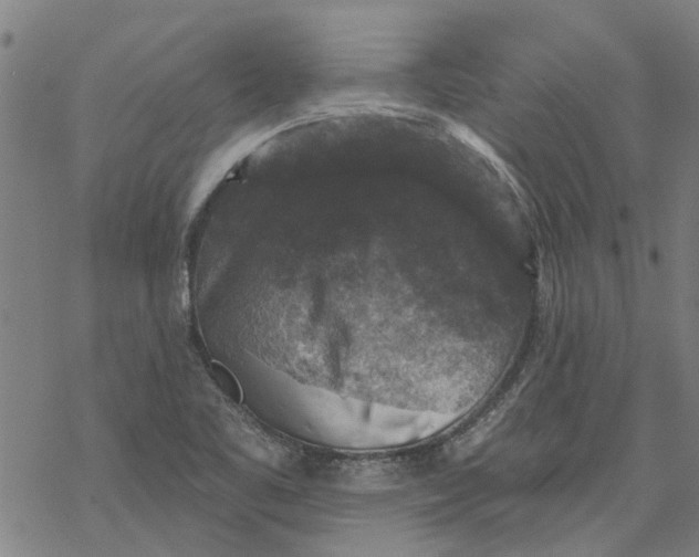 X0000068891461200605261834