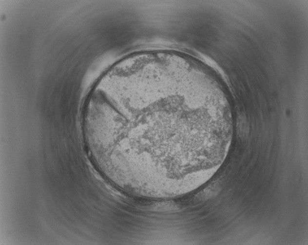 X0000068891464200605261833