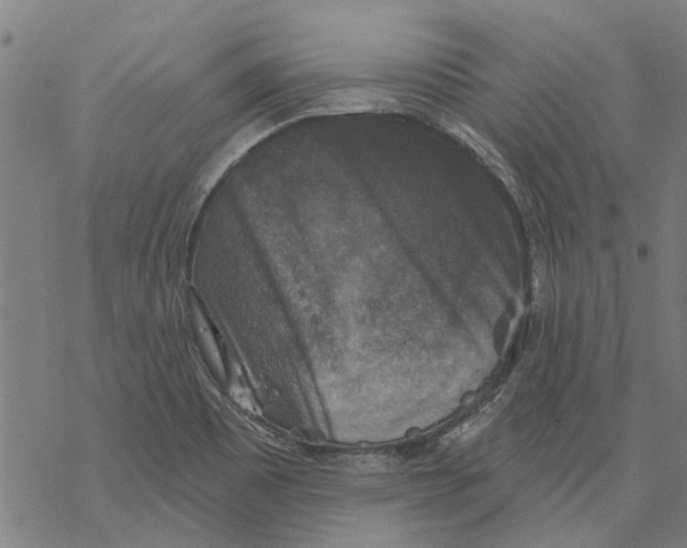 X0000068891465200605261833