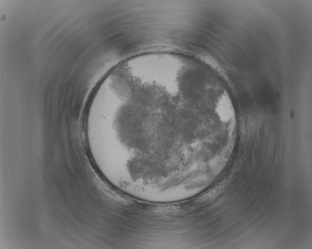 X0000068891466200605261833