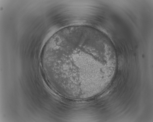 X0000068891467200605261833