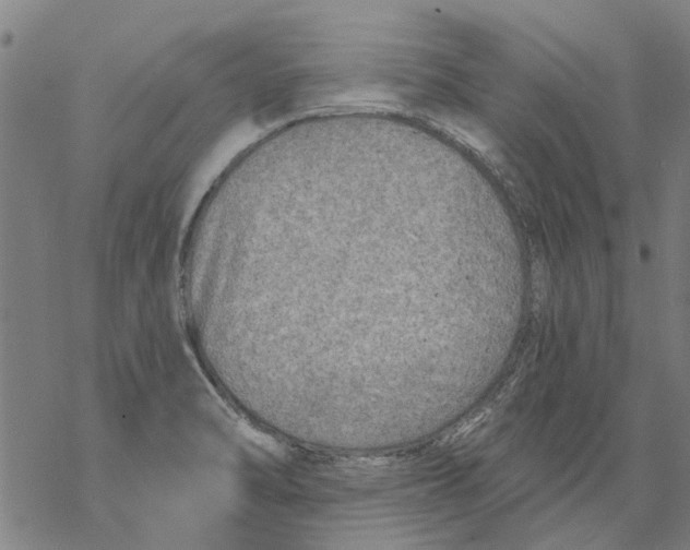 X0000068891470200605261833