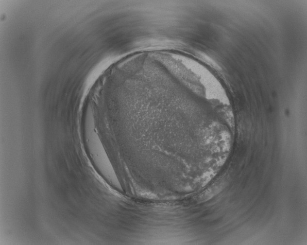 X0000068891472200605261833