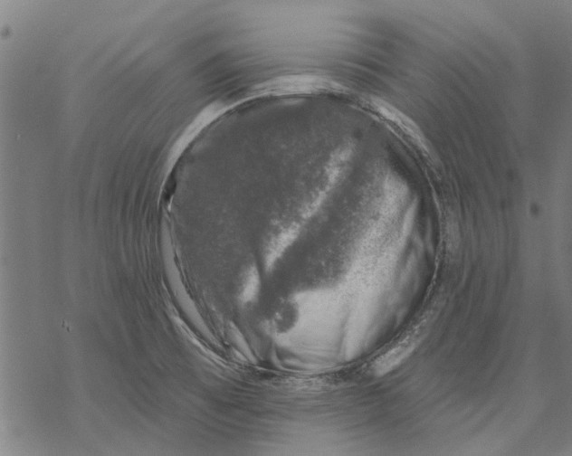 X0000068891473200605261833