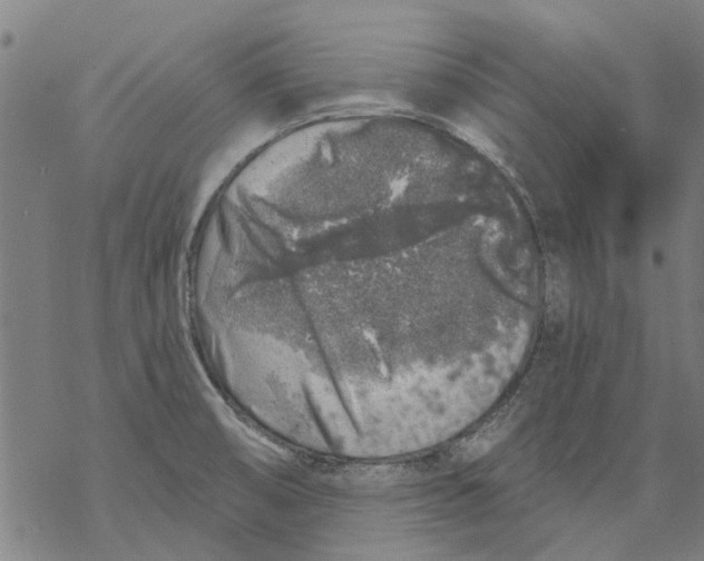 X0000068891474200605261833