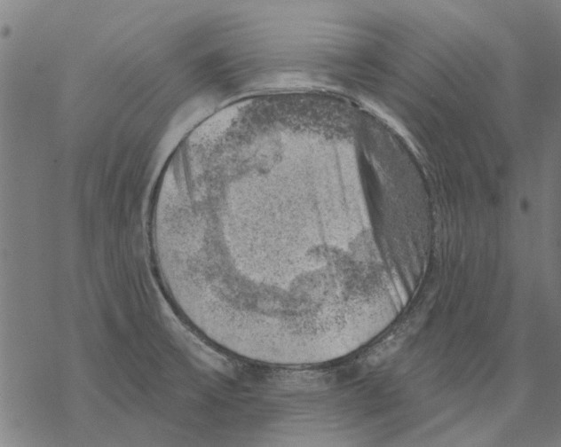 X0000068891475200605261833