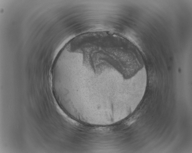 X0000068891476200605261833