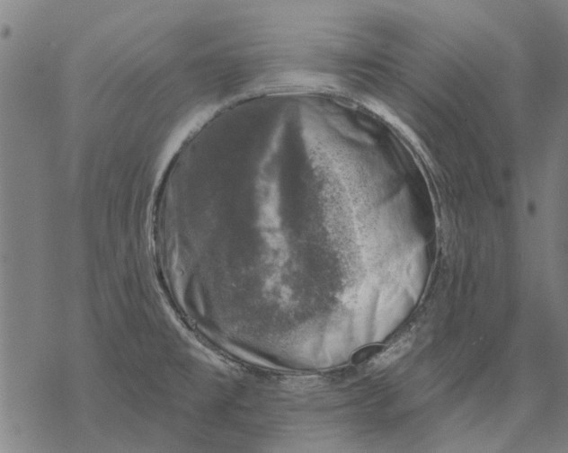 X0000068891477200605261833