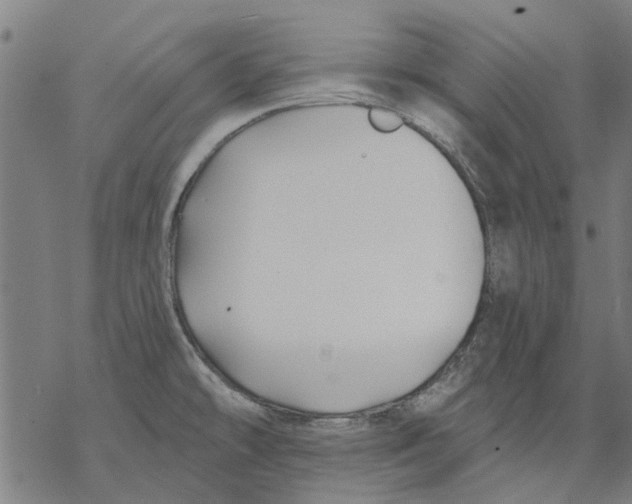 X0000068891478200605261833