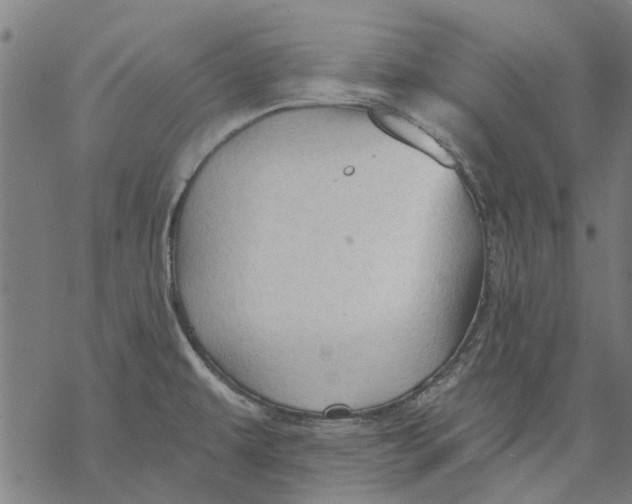 X0000068891479200605261833