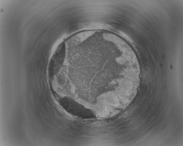 X0000068891480200605261833