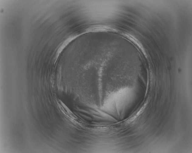 X0000068891481200605261833