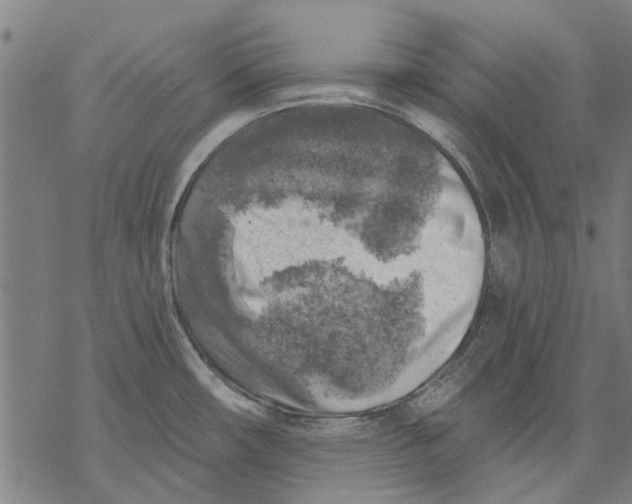 X0000068891482200605261833