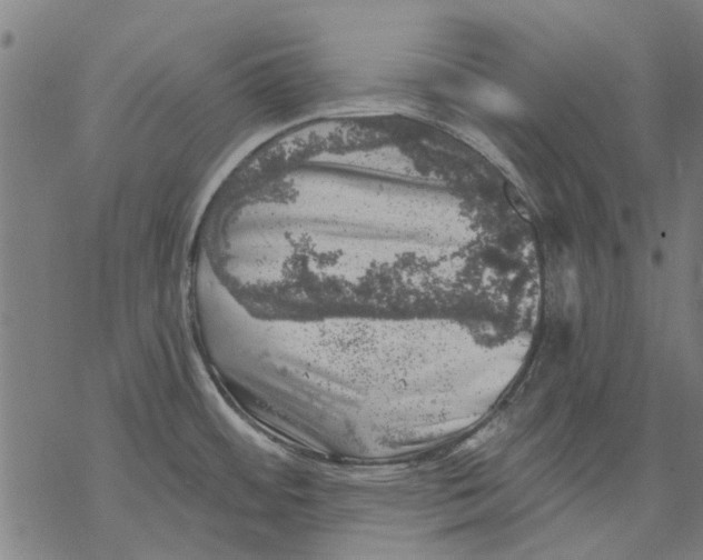 X0000068891484200605261833