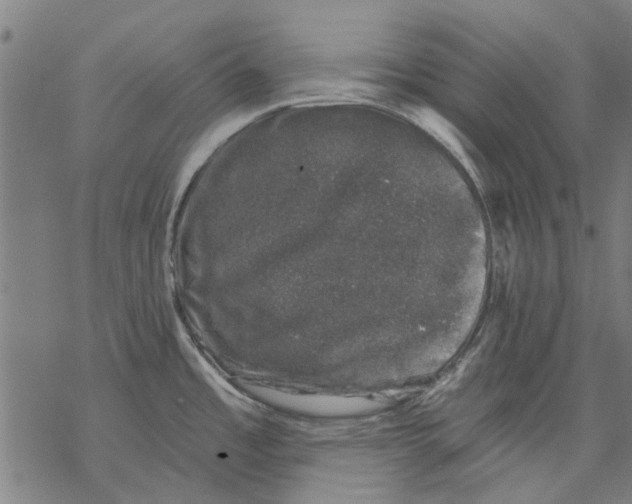 X0000068891485200605261833