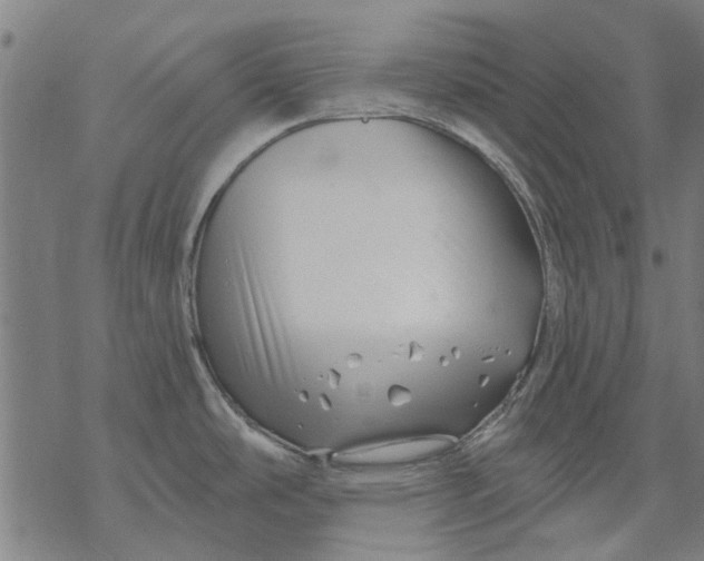 X0000068891486200605261833