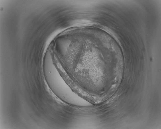 X0000068891488200605261833