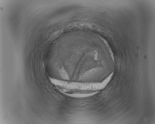 X0000068891489200605261832