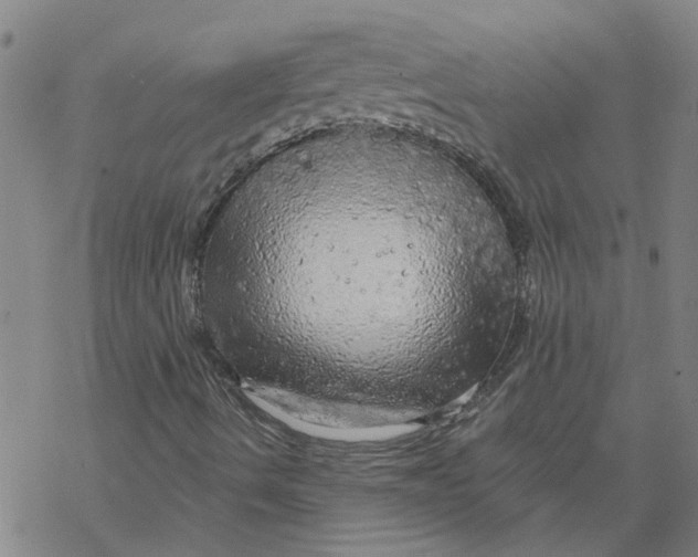 X0000068891490200605261832