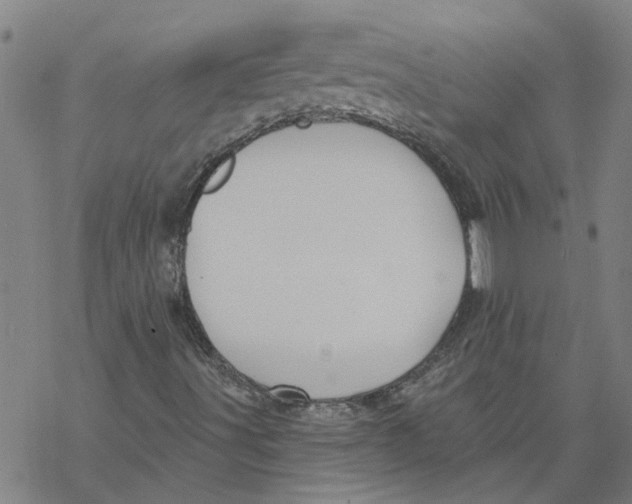 X0000068891491200605261832