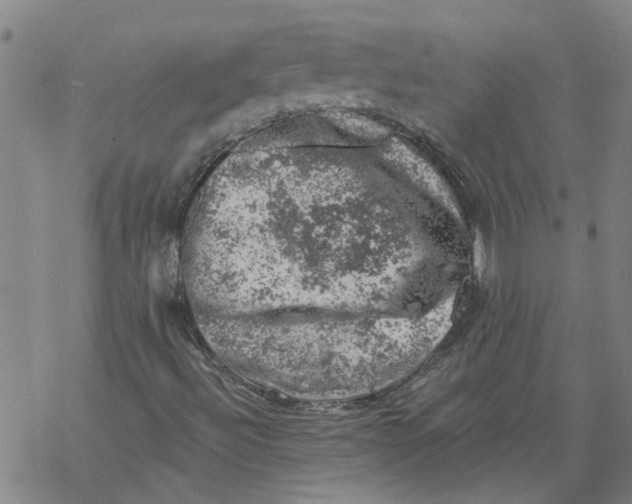 X0000068891492200605261832