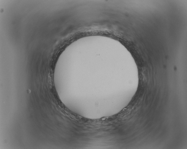 X0000068891493200605261832